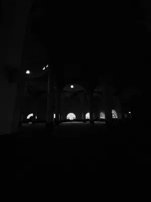 IMG_5248.jpg